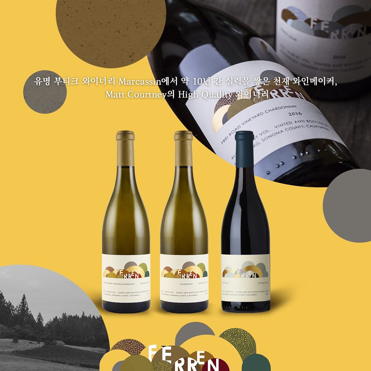 페렌 소노마 코스트 피노 누아 - 유리병 750mL(Ferren Sonoma Coast Pinot Noir) - 벨루가